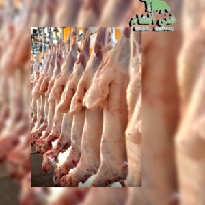 الخرفان البلدية